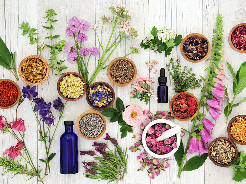aromatherapy gallery 02