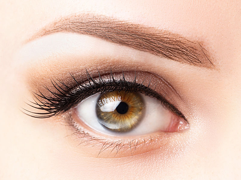 lash and brow tinting gallery 02